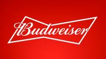 Anheuser-Busch - Budweiser (18 pack cans) (18 pack cans)